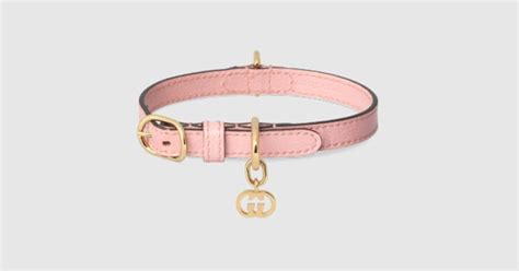 collier gucci pour chat|gucci pet store.